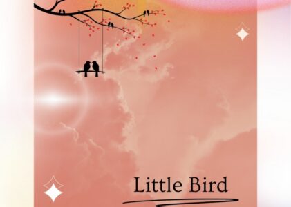 Lost Tribe Music Reimagines “Little Bird” with Jazz Folk Remix